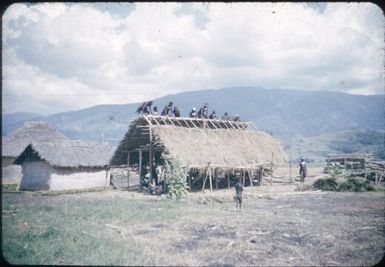 Group of native house builders thatching a roof : Minj Station, Wahgi Valley, Papua New Guinea, 1954 / Terence and Margaret Spencer