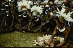 Highlanders of Banz area, New Guinea