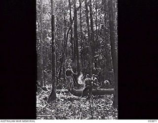 BULLDOG BASE, NEW GUINEA. 1943-07-07. TROOPS OF HEADQUARTERS, ROYAL AUSTRALIAN ENGINEERS, 11TH AUSTRALIAN DIVISION, STOP FOR A SMOKE DURING THE CLEARING OF A TRAMWAY PATH THROUGH THE JUNGLE, TO ..