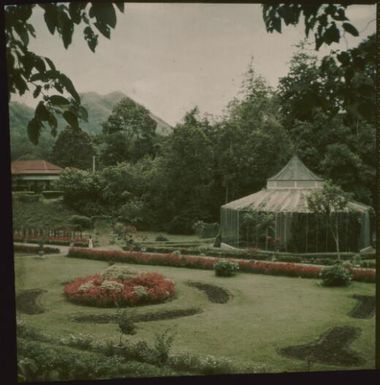 Greenhouse in the Botanical Gardens [?], Rabaul, New Guinea, ca. 1935 / Sarah Chinnery