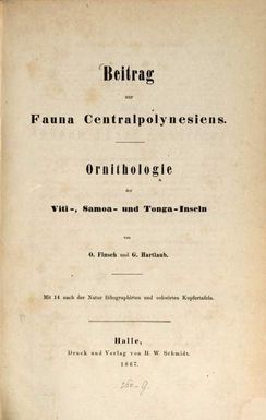 ["Beitrag zur Fauna Centralpolynesiens :Ornithologie d. Viti-, Samoa- und Tonga-Inseln"]