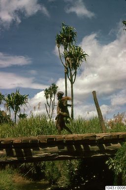 ["fotografi, photograph"]