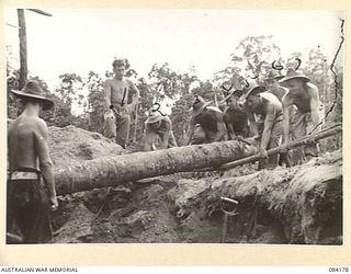 BOUGAINVILLE, SOLOMON ISLANDS. 1944-12-09. NO. 1 GUN TEAM, D TROOP, 5 FIELD BATTERY, 2 FIELD REGIMENT, ROYAL AUSTRALIAN ENGINEERS, MANHANDLE COCONUT LOGS DURING THE REINFORCEMENT OF 25 POUNDER GUN ..