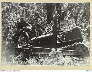 BOUGAINVILLE. 1945-04-17. TROOPS OF 24 INFANTRY BATTALION THROWING LOGS UNDER THE TRACKS OF A BULLDOZER WHICH HAD MOVED FORWARD TO MAKE A CROSSING OVER DAWE CREEK TO ALLOW MATILDA TANKS TO CONTINUE ..