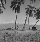 Scenery Tahiti