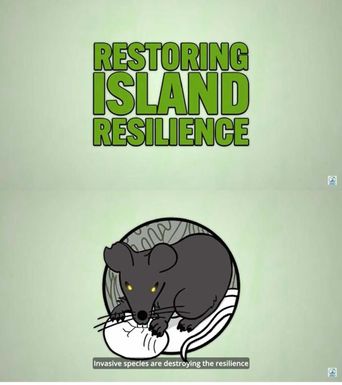 Restoring Island Resilience - Invasive species