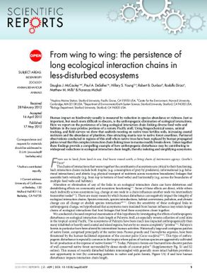 From wing to wing: the persistence of long ecological interaction chains in less-disturbed ecosystems