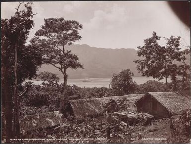 Ligoro villlage with Dives Bay in background, Ureparapara, Banks Islands, 1906 / J.W. Beattie