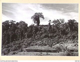 LAE, NEW GUINEA. 1945-11-26. MOUNT LUNAMAN, THE HILLOCK DOMINATING LAE. THE GIANT FIG TREE IN THE MID-BACKGROUND IS A TRIG POINT, SHOWN ON ADMIRALTY CHARTS AND IS A LANDMARK VISIBLE FOR MANY MILES. ..