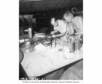 Mr. Jesse P. Pflueger and Dr. Frederick Hase Rodenbaugh, Sr. obtaining samples of tuna liver for ashing aboard LSM 382, Rongerik, summer 1947