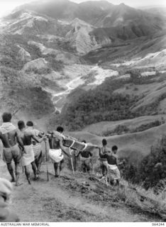 Finisterre Ranges, New Guinea. 1944-01-23. Native bearers carrying a stretcher case down a steep slope from Shaggy Ridge, on the way to the Advanced Dressing Station at Guy's Post. Centre is the ..