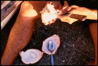 Cutting a coconut, Niue