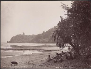 Villagers sitting on beach at Lamalana, Raga, New Hebrides, 1906 / J.W. Beattie