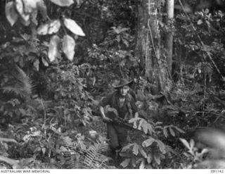 PRIVATE BRUCE YARRINGTON LILJA (FOREGROUND), WITH C COMPANY, 2/1ST INFANTRY BATTALION TROOPS ON PATROL. THE MEN, ACCOMPANIED BY A FORWARD OBSERVATION OFFICER AND SIGNALLERS, MOVE THROUGH ROUGH ..