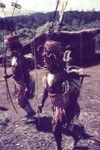 Exchange leaders, wearing special headdresses, baler shell pectorals and other finery, parade during ceremonial pig kill