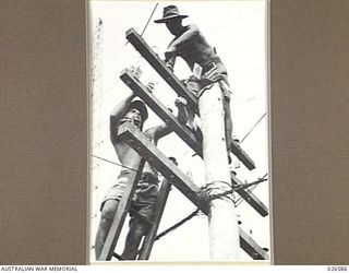 TWO AIF SIGNALLERS WHO SERVED IN THE MIDDLE EAST AND ARE NOW BUSY WITH THEIR UNIT IN NEW GUINEA. THEY ARE UTILISING EXISTING CIVILIAN TELEPHONE POLES AND SOME EQUIPMENT