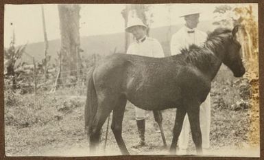 Two men with a pony. From the album: Samoa