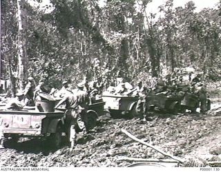 THE SOLOMON ISLANDS, 1945-04-24/27. AUSTRALIAN SERVICEMEN UNDER DIFFICULT CONDITIONS MOVING LADEN TRAILERS ALONG A MUDDY ROAD ON BOUGAINVILLE ISLAND. (RNZAF OFFICIAL PHOTOGRAPH.)