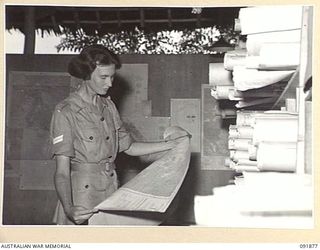 LAE, NEW GUINEA, 1945-05-16. CORPORAL M.I. MASON, WORKING IN GENERAL BRANCH AND INTELLIGENCE, HEADQUARTERS LAE BASE SUB-AREA, EXAMINING A MAP IN THE MAP ROOM. AUSTRALIAN WOMEN'S ARMY SERVICE ..