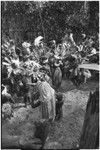 Pig festival, pig sacrifice, Tsembaga: behind the ritual fence, decorated Tsembaga people wait to begin final ceremony