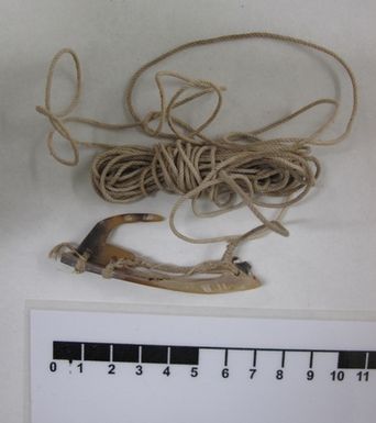 fish hook
