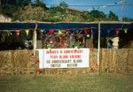 Market Stalls at Independence Celebration