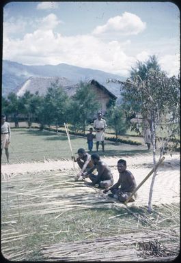 Native prisoners weaving house walls : Minj Station, Wahgi Valley, Papua New Guinea, 1954 / Terence and Margaret Spencer