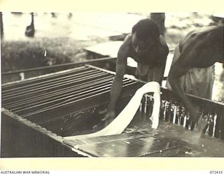 KOKODA, NEW GUINEA. 1944-04-11. NATIVE LABOUR WORKING AT A RUBBER PLANTATION REMOVING RUBBER FROM A SETTING TROUGH AFTER IT HAS FORMED IN SOLID SECTION. THE PHOTOGRAPH WAS MADE AT THE DIRECTION OF ..