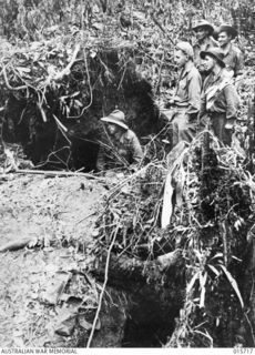 1943-09-15. NEW GUINEA. GOODVIEW JUNCTION. TYPICAL JUNGLE COUNTRY AND TYPICAL JAPANESE DEFENCES FROM WHICH THE ENEMY WERE DRIVEN BY THE AUSTRALIANS BETWEEN KOMIATUM AND SALAMAUA. FOX HOLES WERE ..