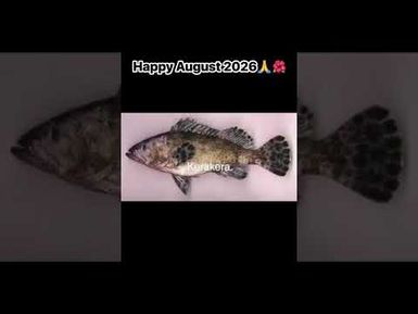 Happy Vula i Senidrala or Vula -i- Kawakawa - the usual English month of August or Okosita in Fijian
