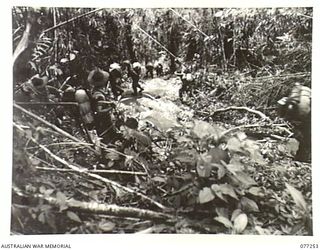 BOUGAINVILLE ISLAND. 1944-11-23. TROOPS OF THE 9TH INFANTRY BATTALION NEGOTIATING A STIFF CLIMB ON THE PIATERAPAIA TRACK AS THEY MOVE FORWARD TO TAKE OVER POSITIONS OCCUPIED BY THE 2ND BATTALION, ..