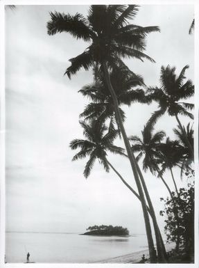 Pacific Islands - Cook Island - Rarotonga - Scenics