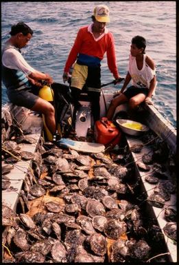 Three young men in a dinghy with chaplets of oyster shells, Manihiki, Cook Islands