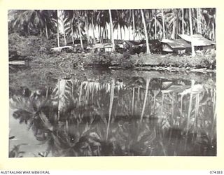 SIAR, NEW GUINEA. 1944-06-27. TENT LINES OF THE LIGHT AID DETACHMENT AND TRANSPORT SECTION OF HEADQUARTERS, 15TH INFANTRY BRIGADE LOCATED IN A COCONUT PLANTATION ON THE HARBOUR FORESHORES