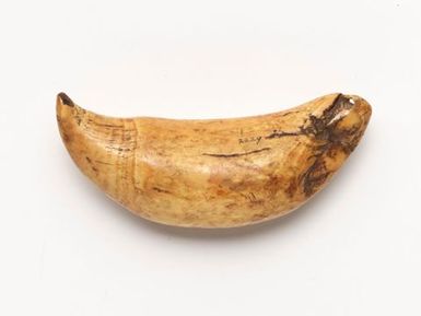 Tabua (Ceremonial whale tooth)