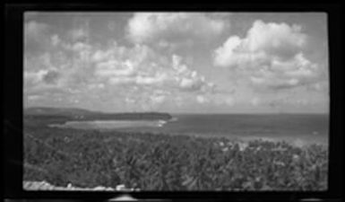 [Shoreline and palm trees]