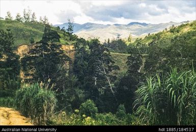 Goroka - Kainantu - 37 1/2 miles after Goroka