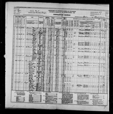 1940 Census Population Schedules - Hawaii - Maui County - ED 5-8