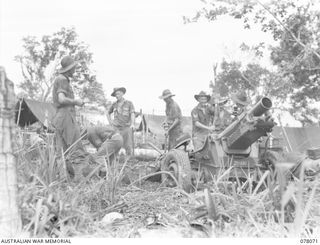 DANMAP RIVER AREA, NEW GUINEA. 1945-01-01. TROOPS OF NO 6 BATTERY, 2/3RD FIELD REGIMENT, DIGGING IN THEIR SHORT 25 POUNDERS IN PREPARATION FOR THE ATTACK ON JAPANESE POSITIONS AT MATAPAU. ..