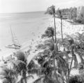 United States, view of Waikiki Beach in Honolulu