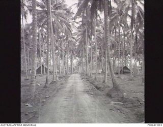 MILNE BAY, PAPUA, C.1942 - 43. NO. 37 RAAF RADAR STATION CAMP AREA