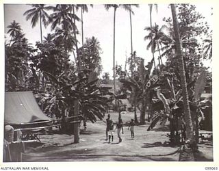 RABAUL, NEW BRITAIN. 1945-11-20. PART OF THE CAMP AREA OF 28 MALARIAL CONTROL UNIT, SITUATED ON THE SHORE OF TALILI BAY