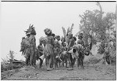 Pig festival, singsing preparations, Tsembaga: decorated men and children, most holding drums, on edge of dance ground