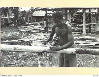 LAE-NADZAB, NEW GUINEA. 1944-07-19. A NATIVE BOY TRIMMING A POLE DURING THE BUILDING OF NEW HUTS AT THE AUSTRALIAN NEW GUINEA ADMINISTRATIVE UNIT HEADQUARTERS