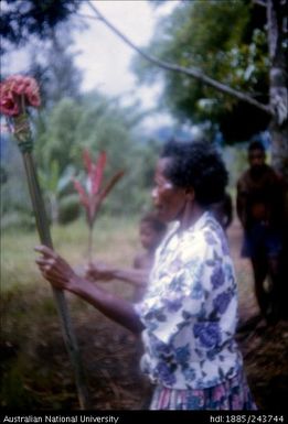 Person holding up plant material