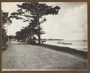 Beach-side road. From the album: Samoa