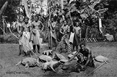 Men alongside a catch of turtles, Samoa