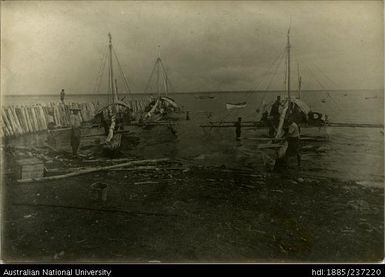 Fly River sailing canoes