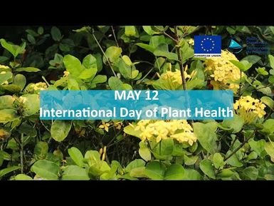 SPC International Plant Health Day 2023- Solidarity message