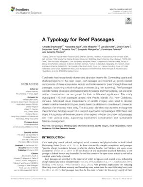 A Typology for Reef Passages